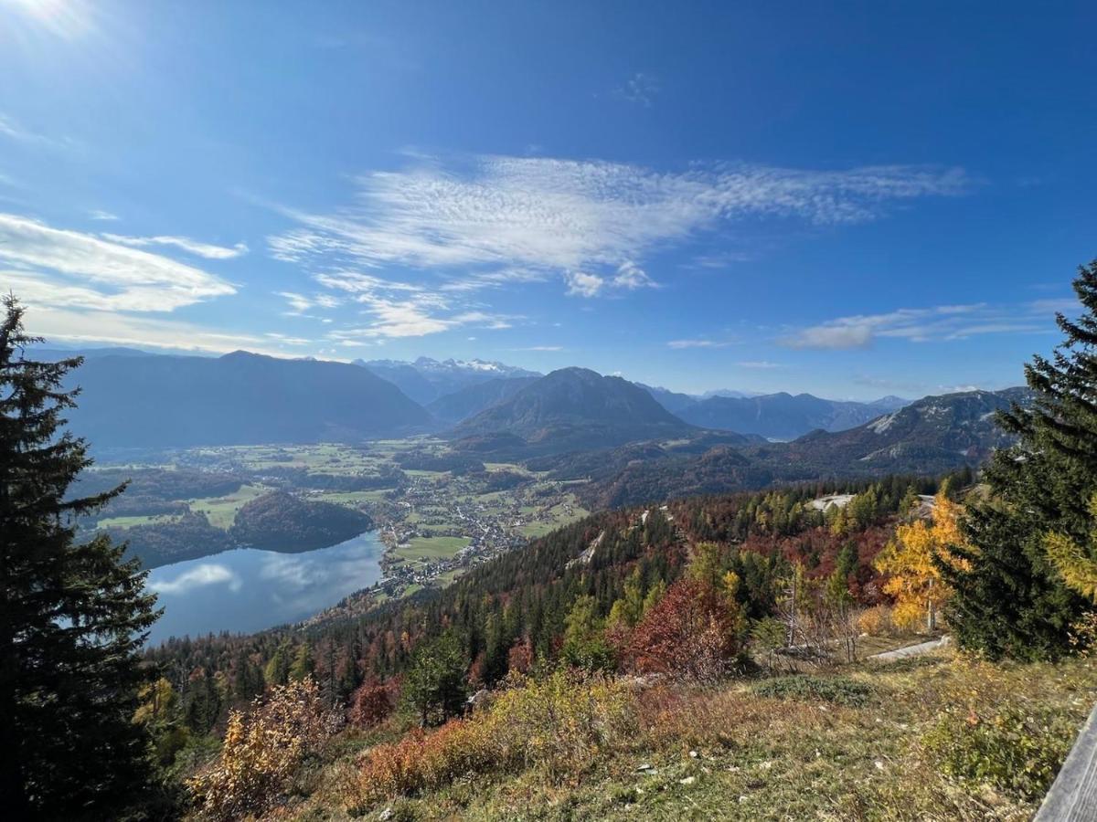 Ferienwohnungen Mikula-Hubacek Bad Aussee Exteriör bild
