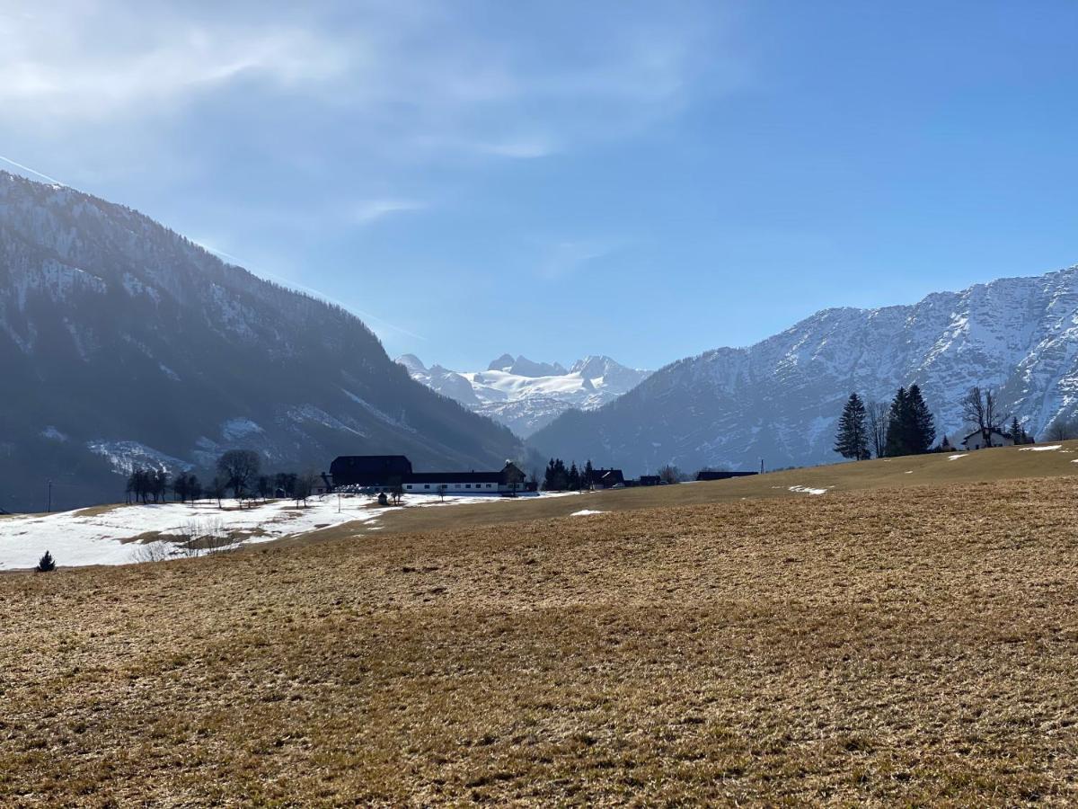 Ferienwohnungen Mikula-Hubacek Bad Aussee Exteriör bild